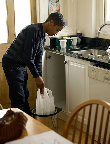 Best Trash Removal Near Me  in Springville, IA